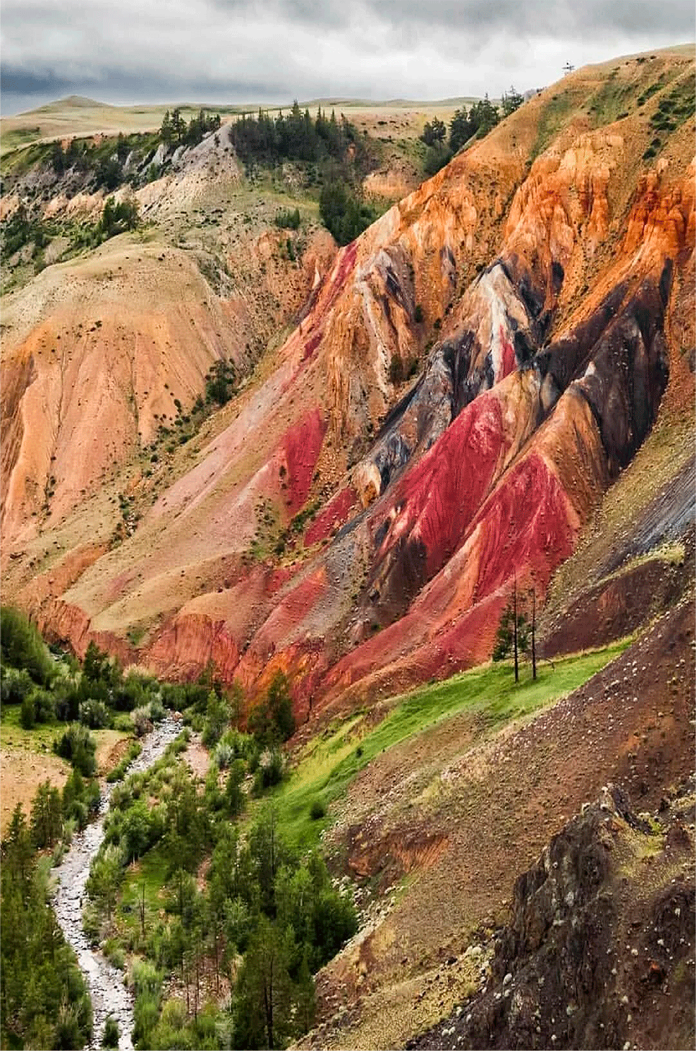 Altai. A typology of functions. Concept