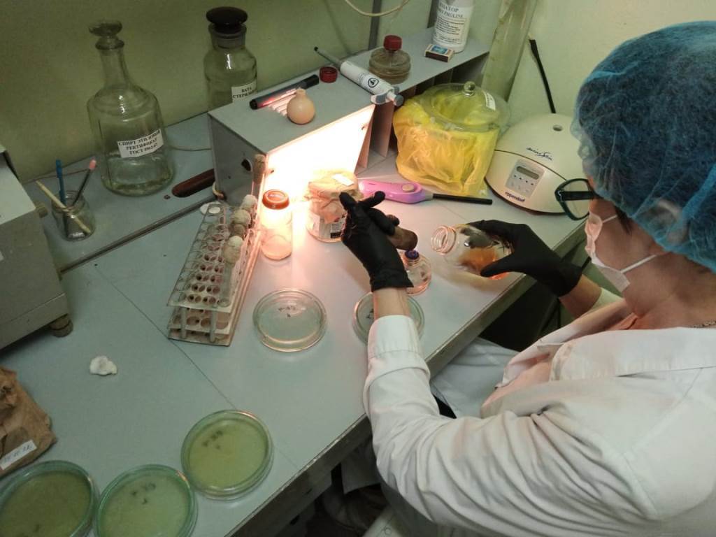 Лабораторные анализы Краснодар, лабораторные испытания, химический анализ воды, анализ кормов, анализ почвы, пробы воды Краснодар, анализ пищевой продукции, определение микробиологических показателей