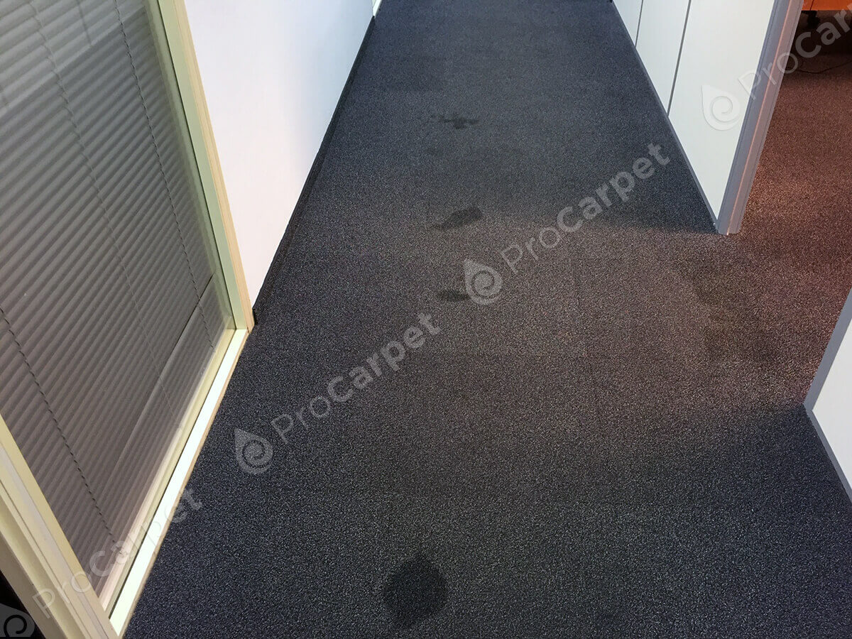 Химчистка ковров в Химках с вывозом и на дому – Pro Carpet