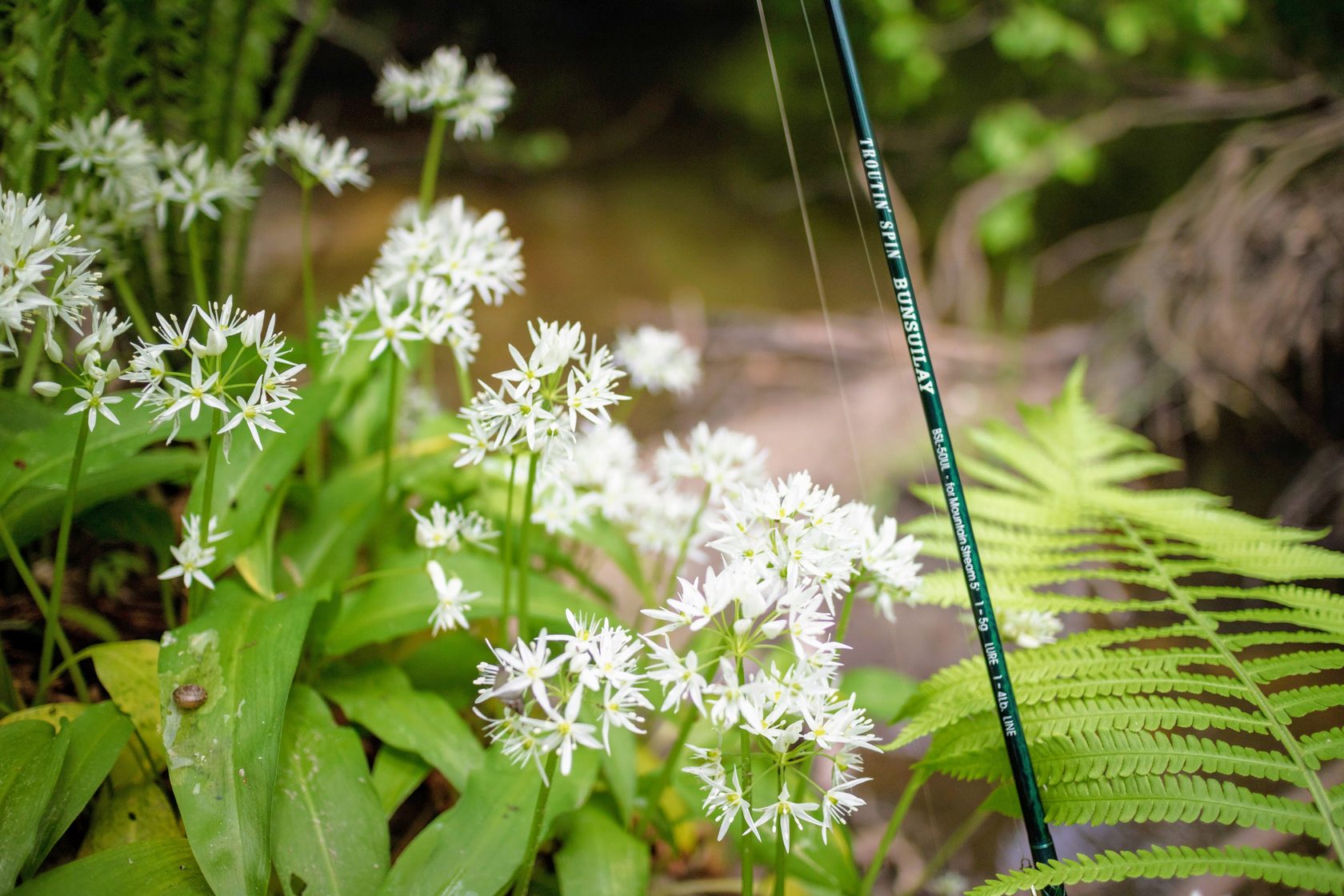 SMITH - スミス TROUTIN’SPIN BUNSUILAY BSL-66L Smith AR-S Trout Model Inline Spinner - Bait Finesse Empire
