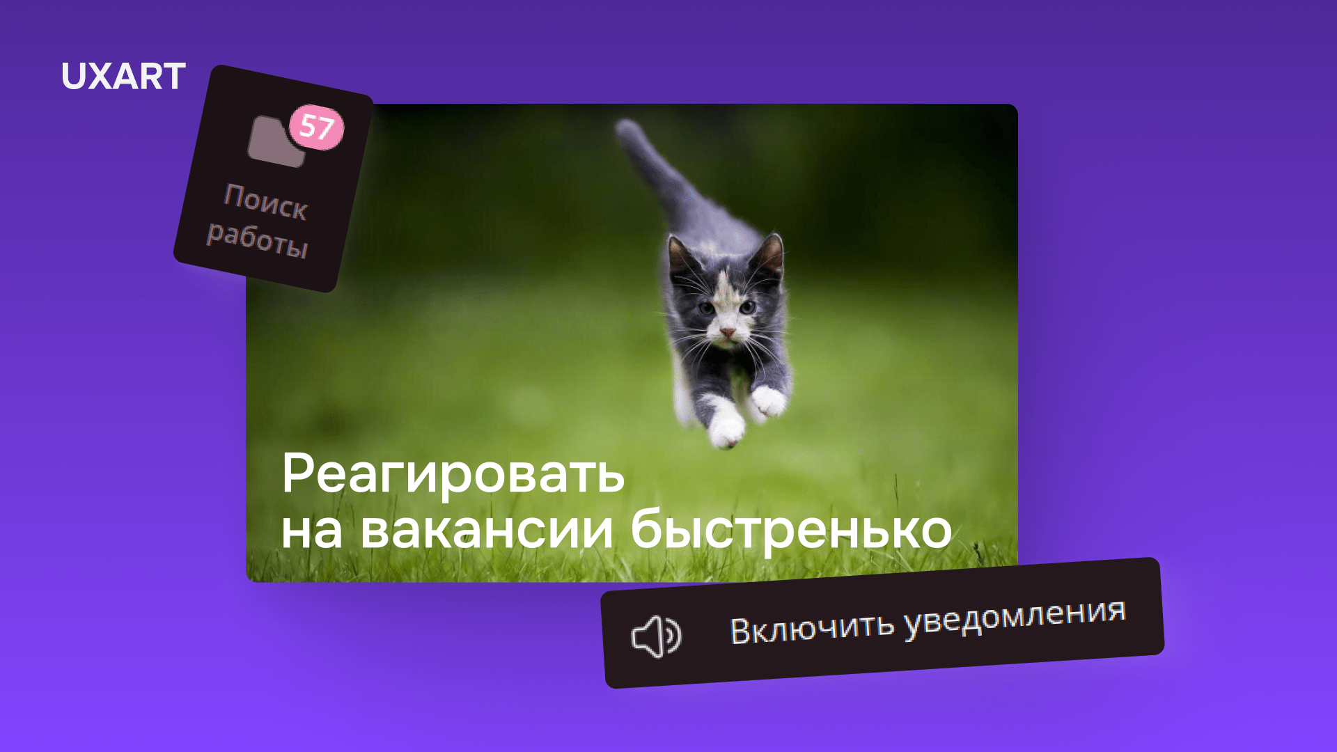Спокойной ночи, дизайнеры. Часть 4: Как устроиться UX/UI дизайнером и не потратить последние нервы
