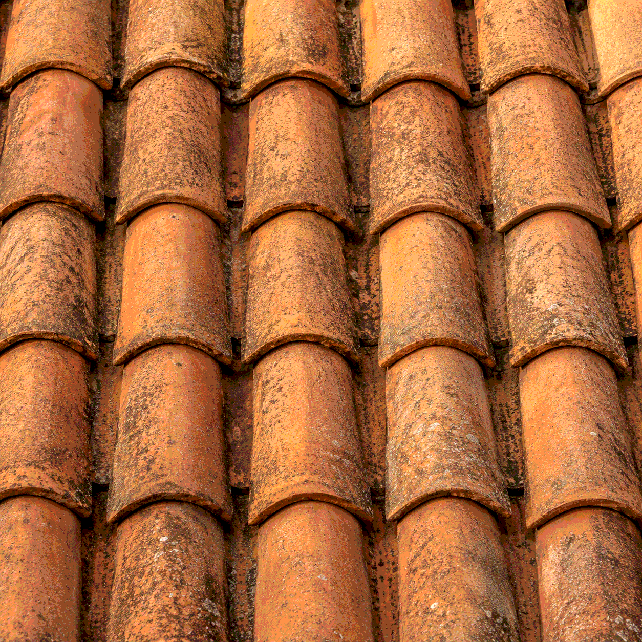 Bronze architectural detail