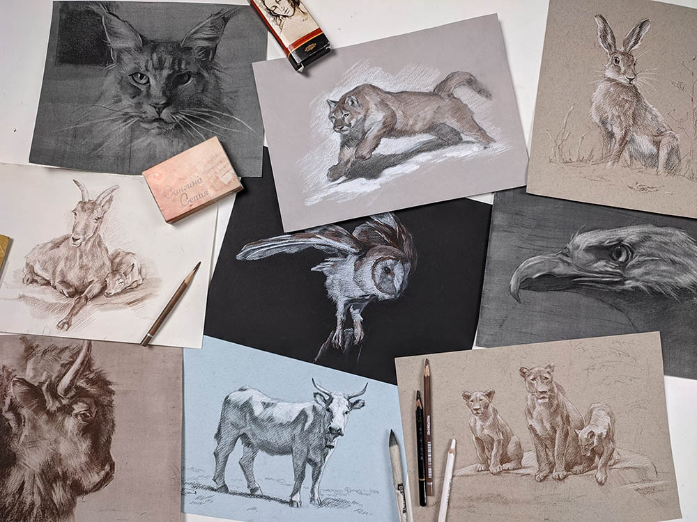 Онлайн-курс «Анималистика в графике» - Учимся рисовать животных и птиц в  графических техниках - Художник Online