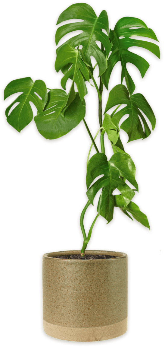 КУРС ПСИХОЛОГА КОНСУЛЬТАНТА