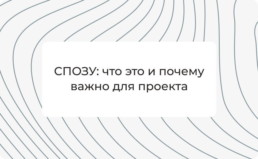 СПОЗУ: что это и почему важно для проекта