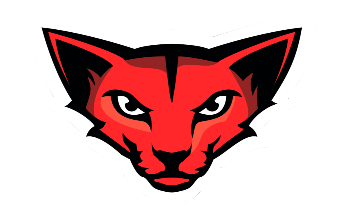 Клуб единоборств 