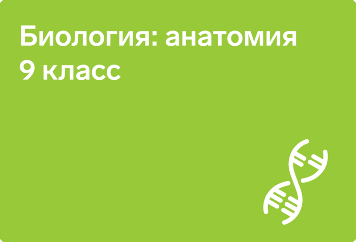 Пригласительный этап всош сириус 2024 биология