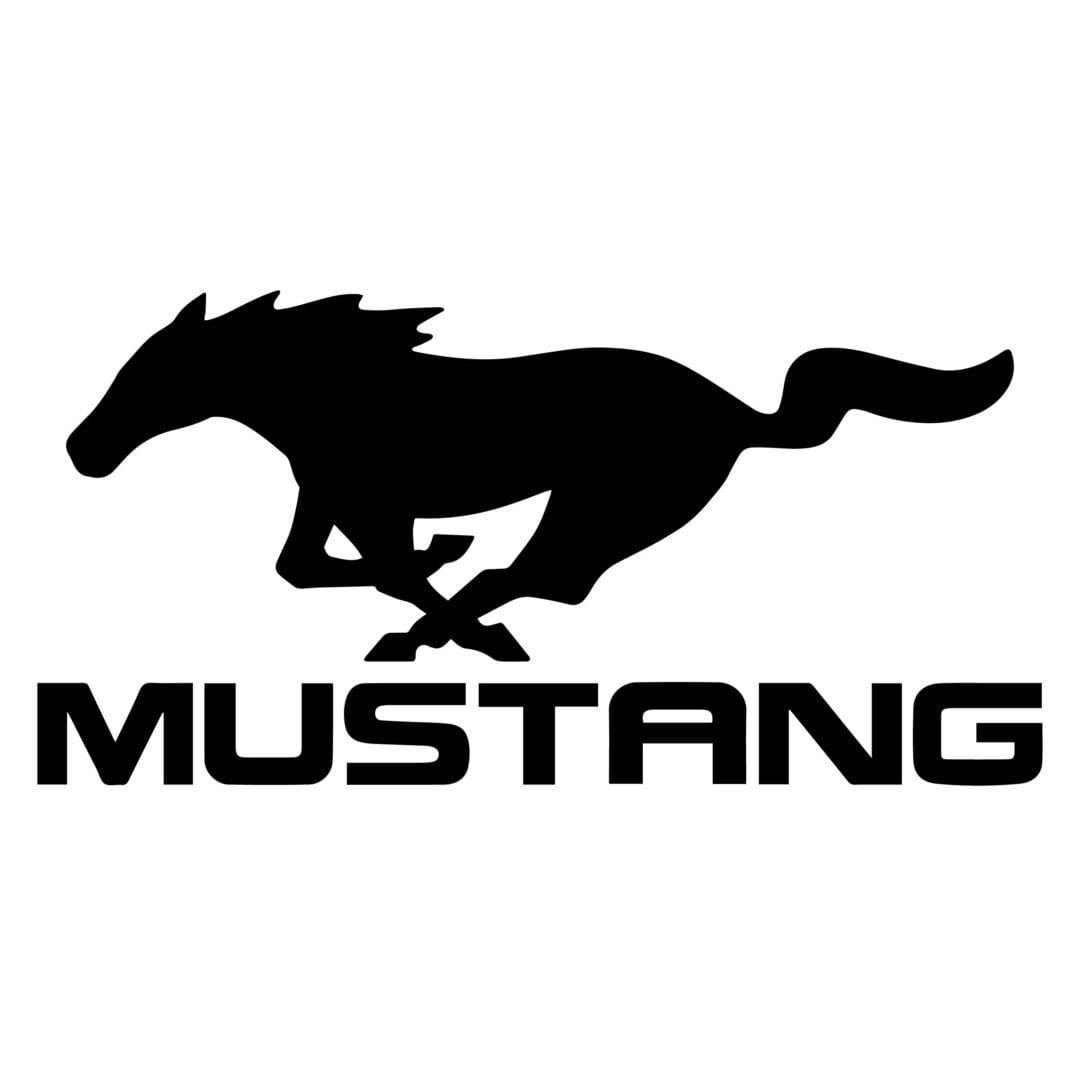 Mustang логотип одежда