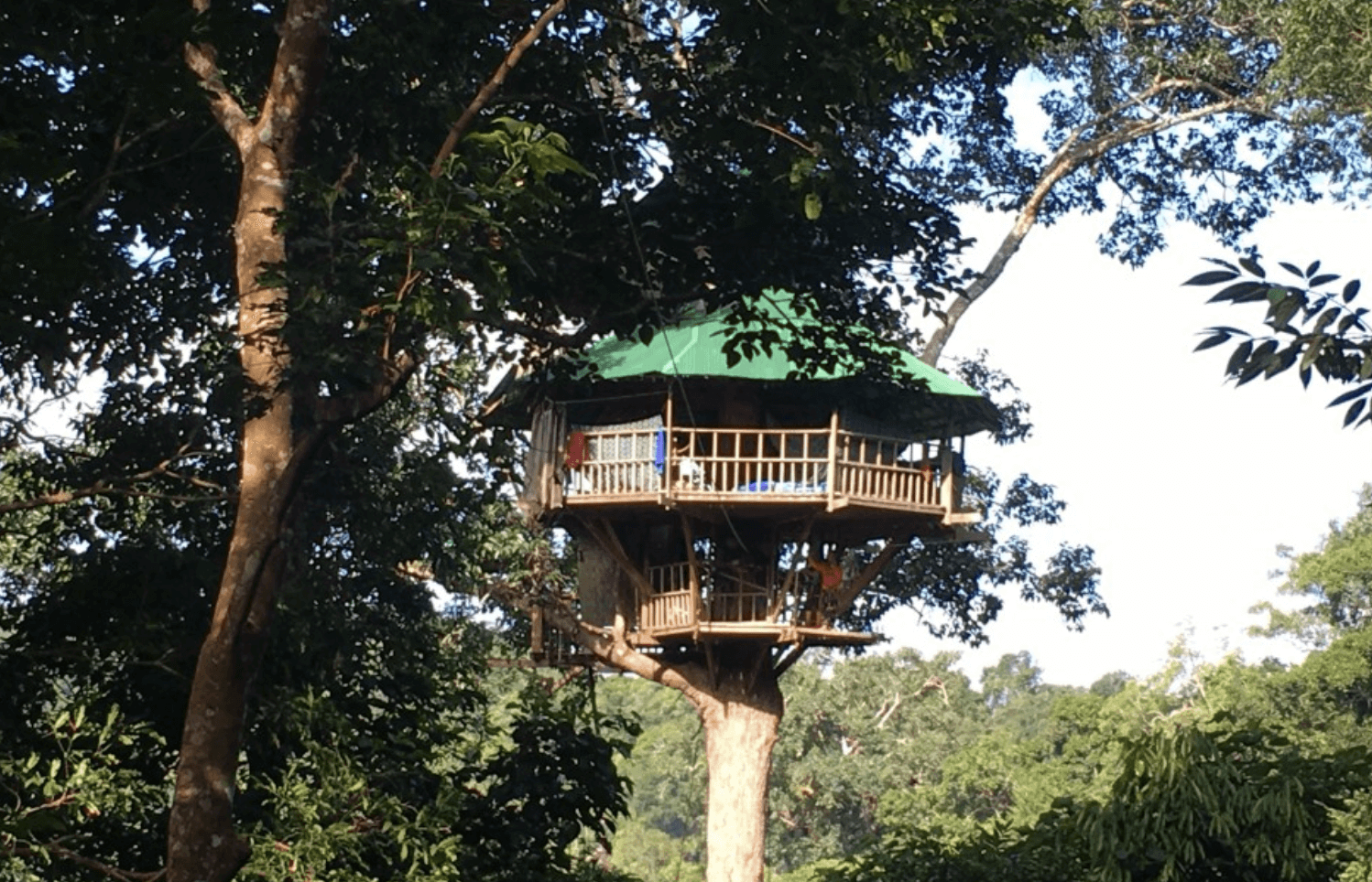 Дом на деревьях