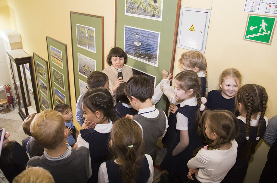 Экскурсию для школьников по выставке «Многоликая Даурия»