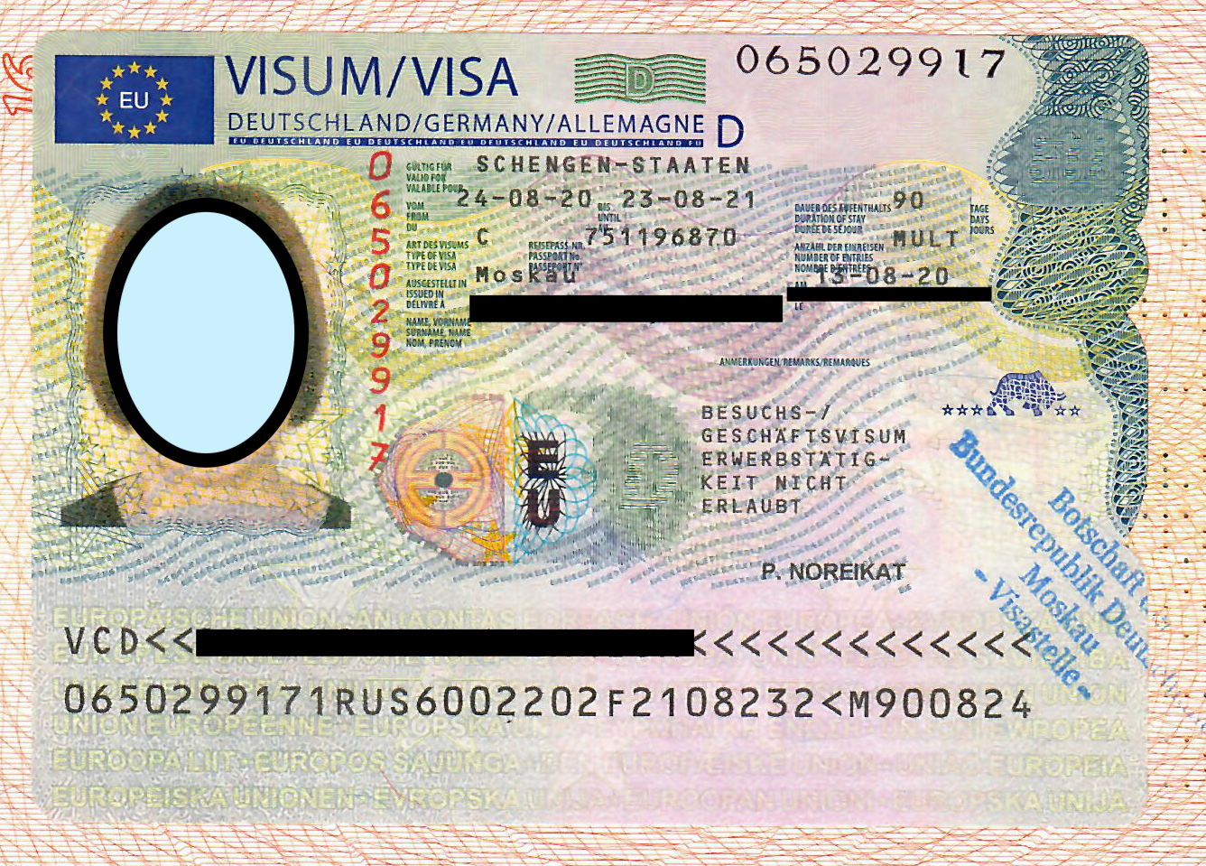 Шенген куда можно. Виза в Германию. Немецкая шенгенская виза. Национальная виза в Германию. Виза шенген Германия.