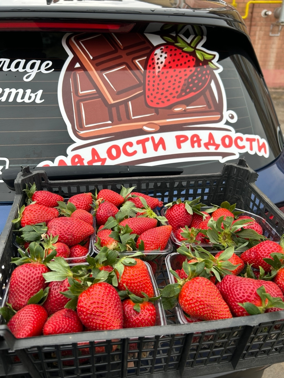 Авторские десерты кондитерской «Сладкий домъ»