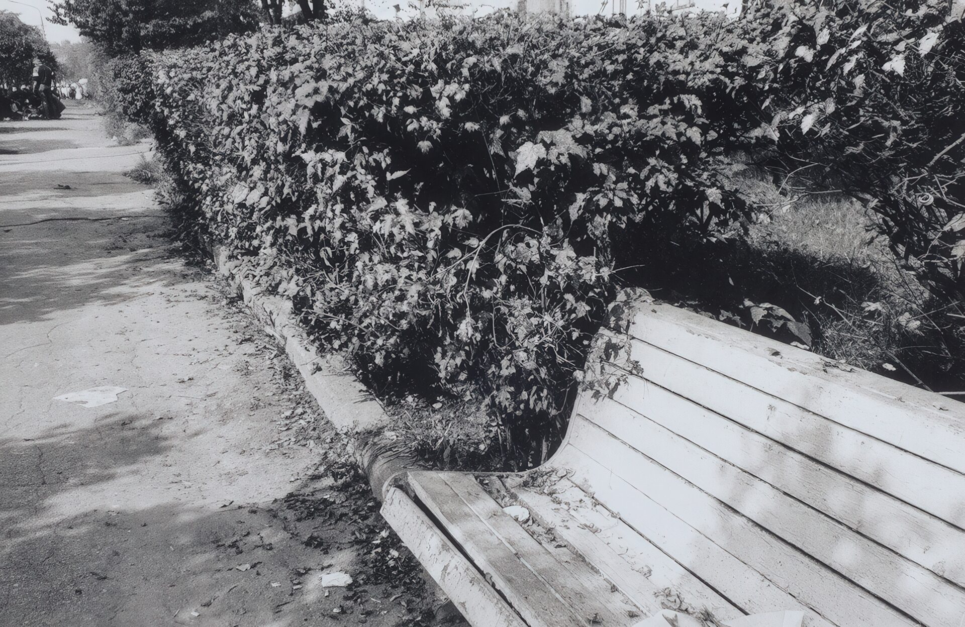 Иван Петрович