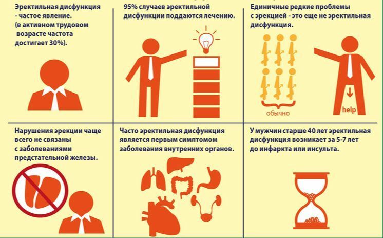 Профилактика эректильной дисфункции для мужчин разного возраста