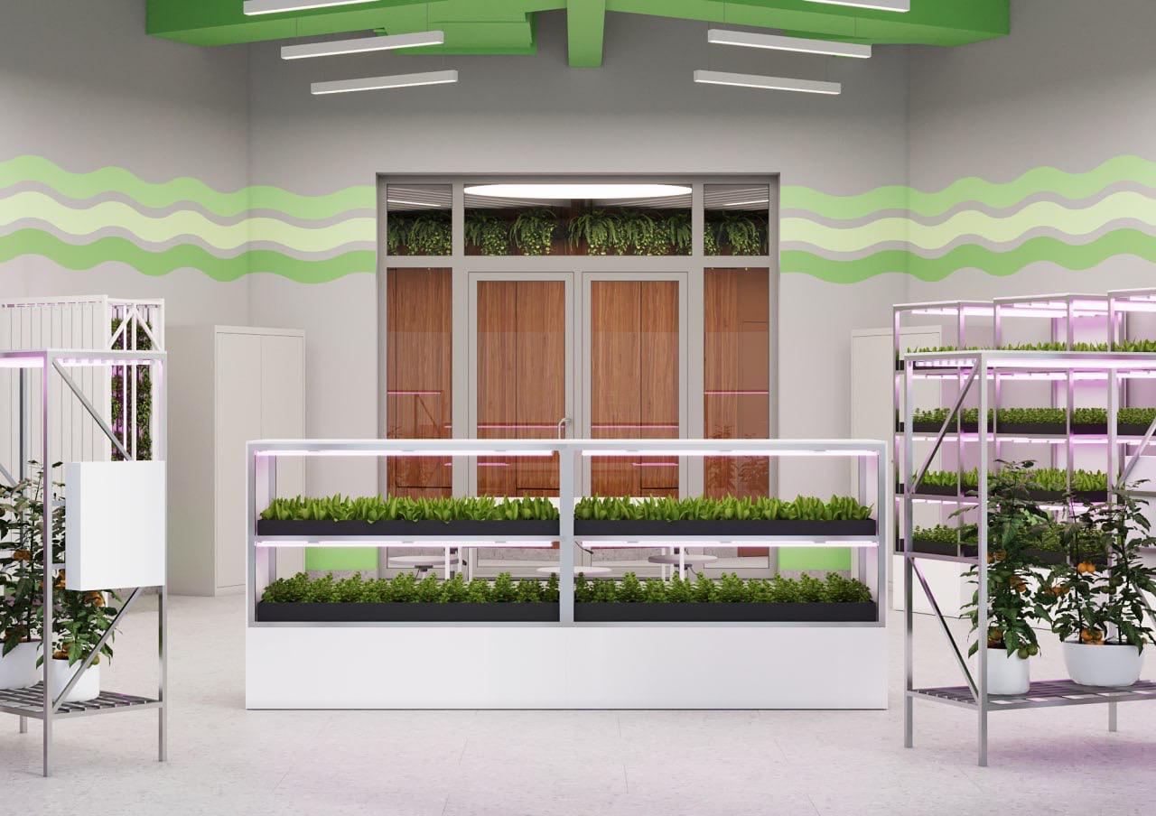 Эскиз Лаборатории Сити-Фермерства с Расстановкой Оборудования Систем Выращивания в для Школе Колледже Сириусе Кванториуме Статья Читать Фото Видео Смотреть