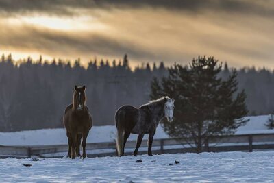 Панорамный комплекс
