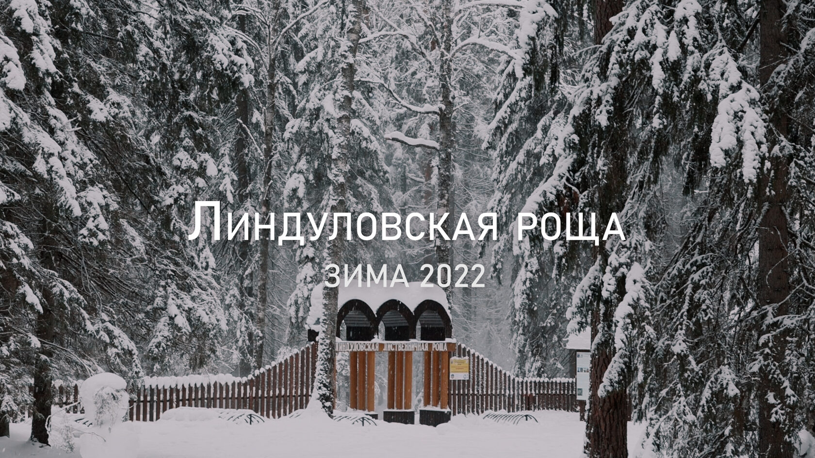 Линдуловская роща зимой 2022