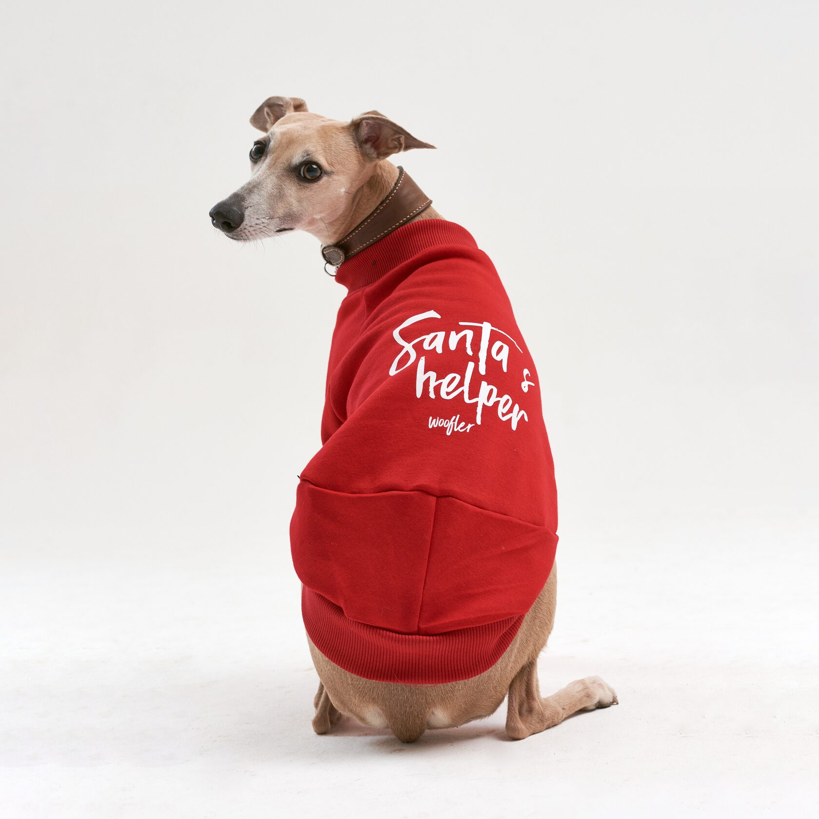 Новогодний костюм для собак "Santa's Helper" для уиппета