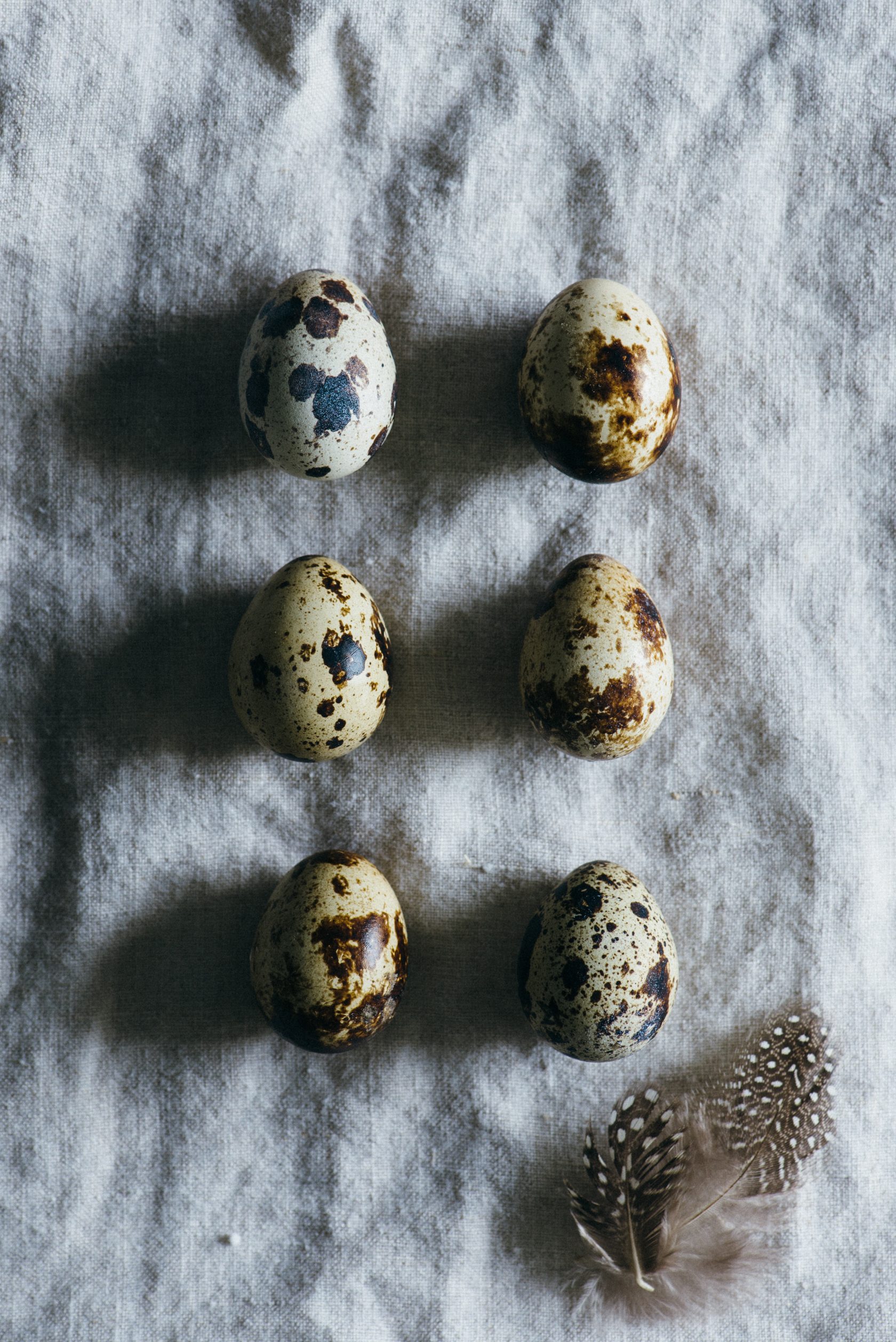 Nutriční hodnota syrových křepelčích vajec