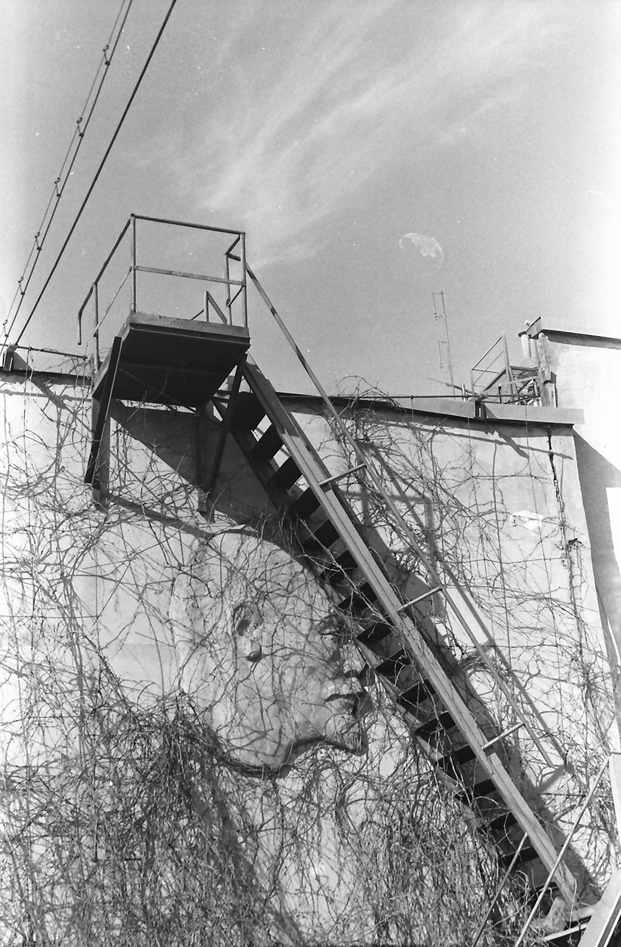 Барельеф Ленина под лестницей псс парень