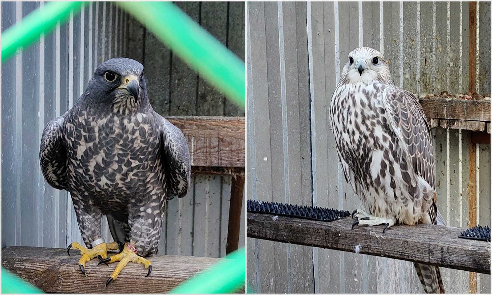 Байкальский заповедник