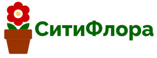 СитиФлора