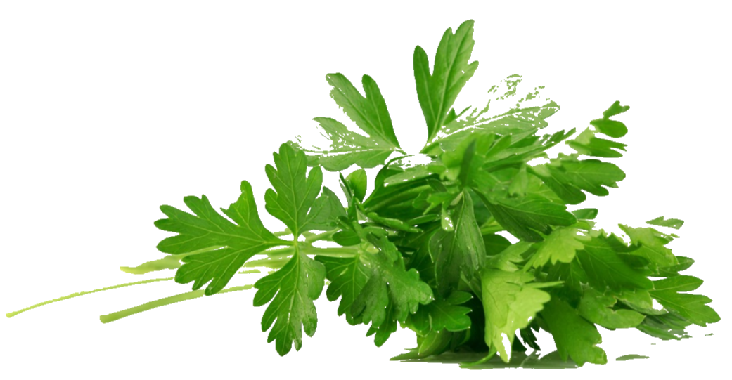 национальные продукты kula соусы кетчуп аджика