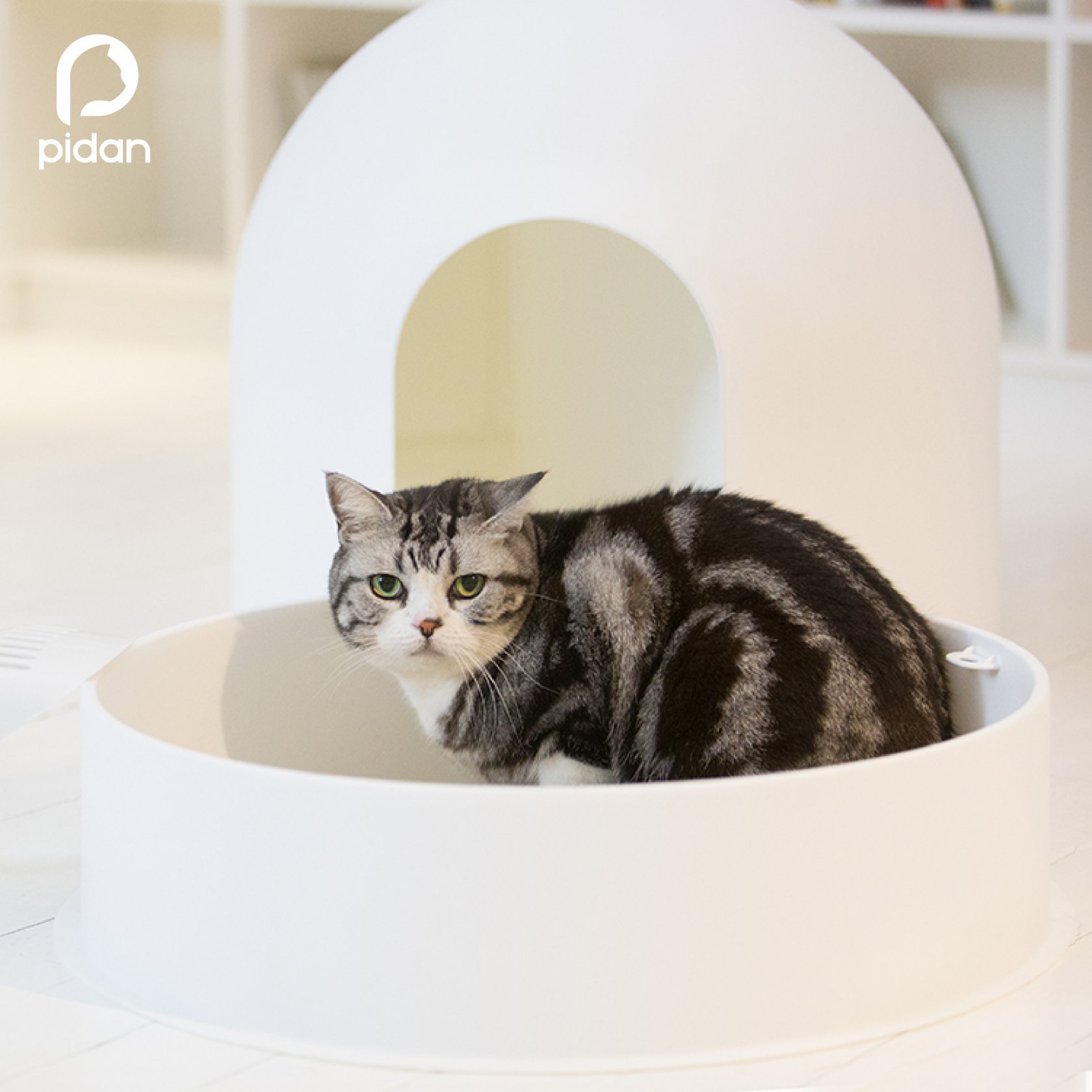 Игла кошки. Pidan Igloo Cat Litter Box. Pidan лоток. Pidan туалет для кошек. Туалет-домик для кошек pidan Igloo Cat Litter Box 54.8х52х49.2 см.
