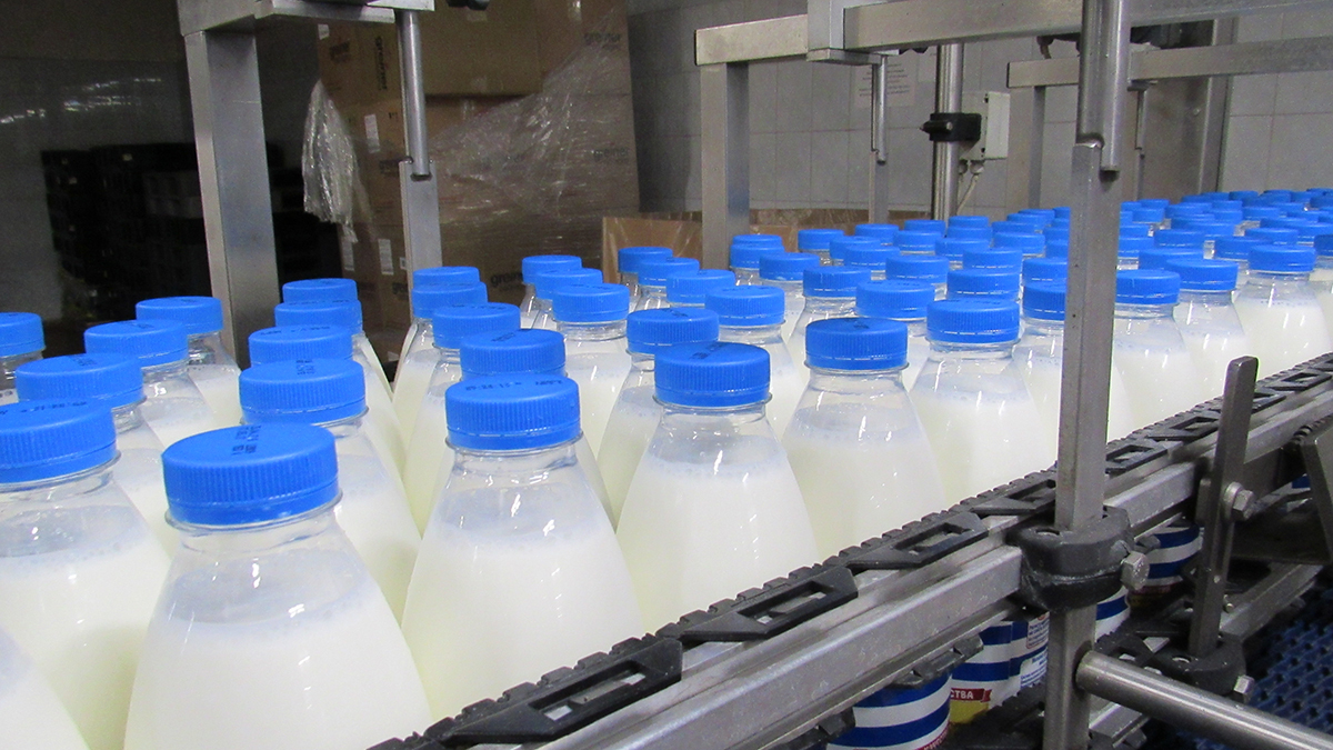 молочный комбинат данон