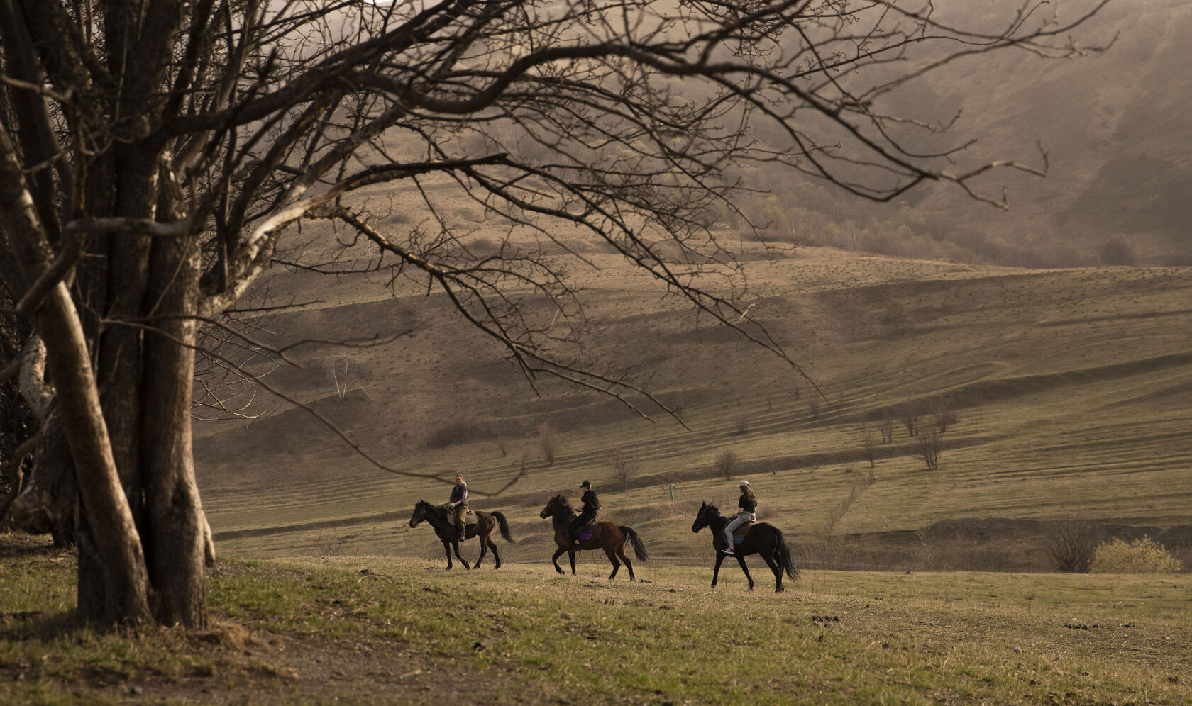 Лошади осетия. Северная Осетия конный туризм. Конные прогулки Осетия. Северная Осетия прогулки на лошадях. Верхом по Осетии.