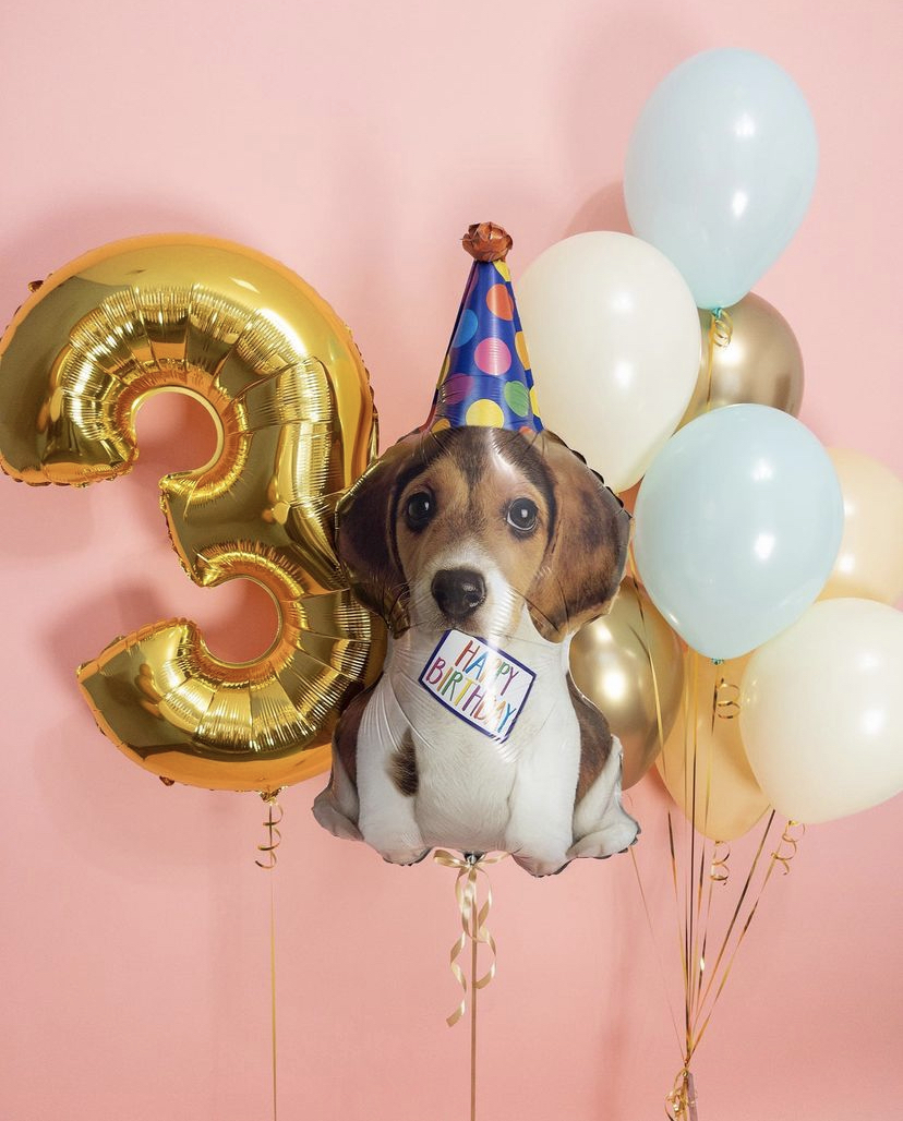 Хвостатый гав