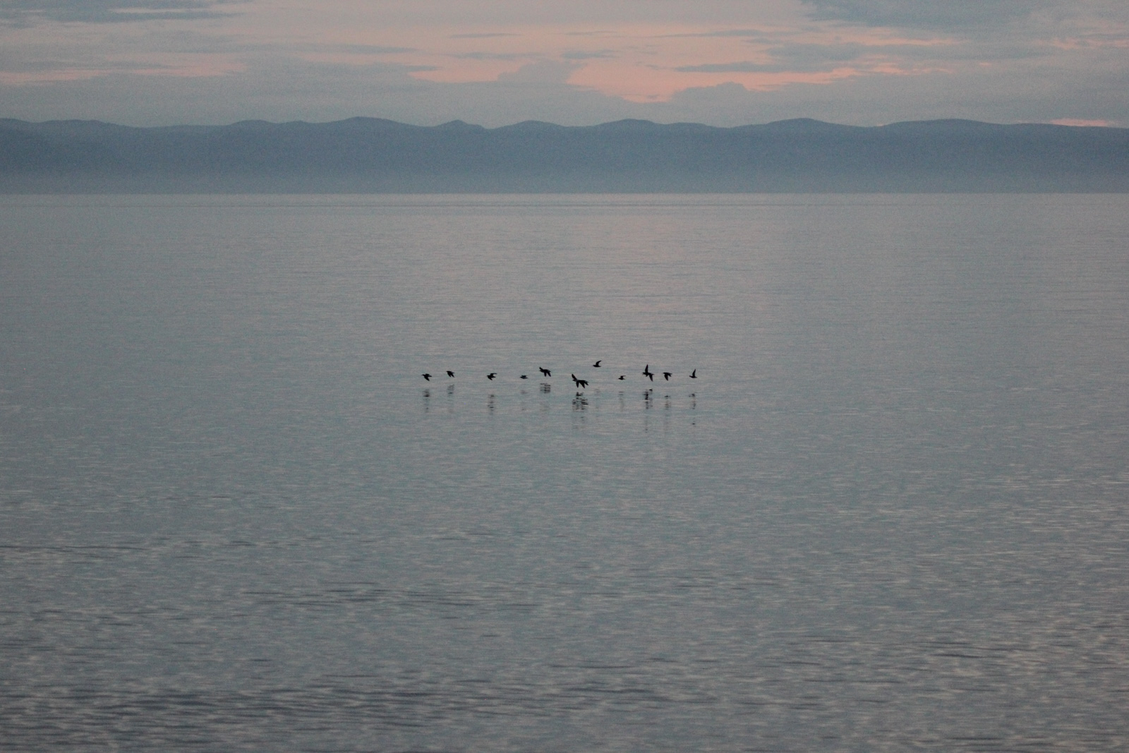 Осенний пролёт птиц, Байкальский заповедник