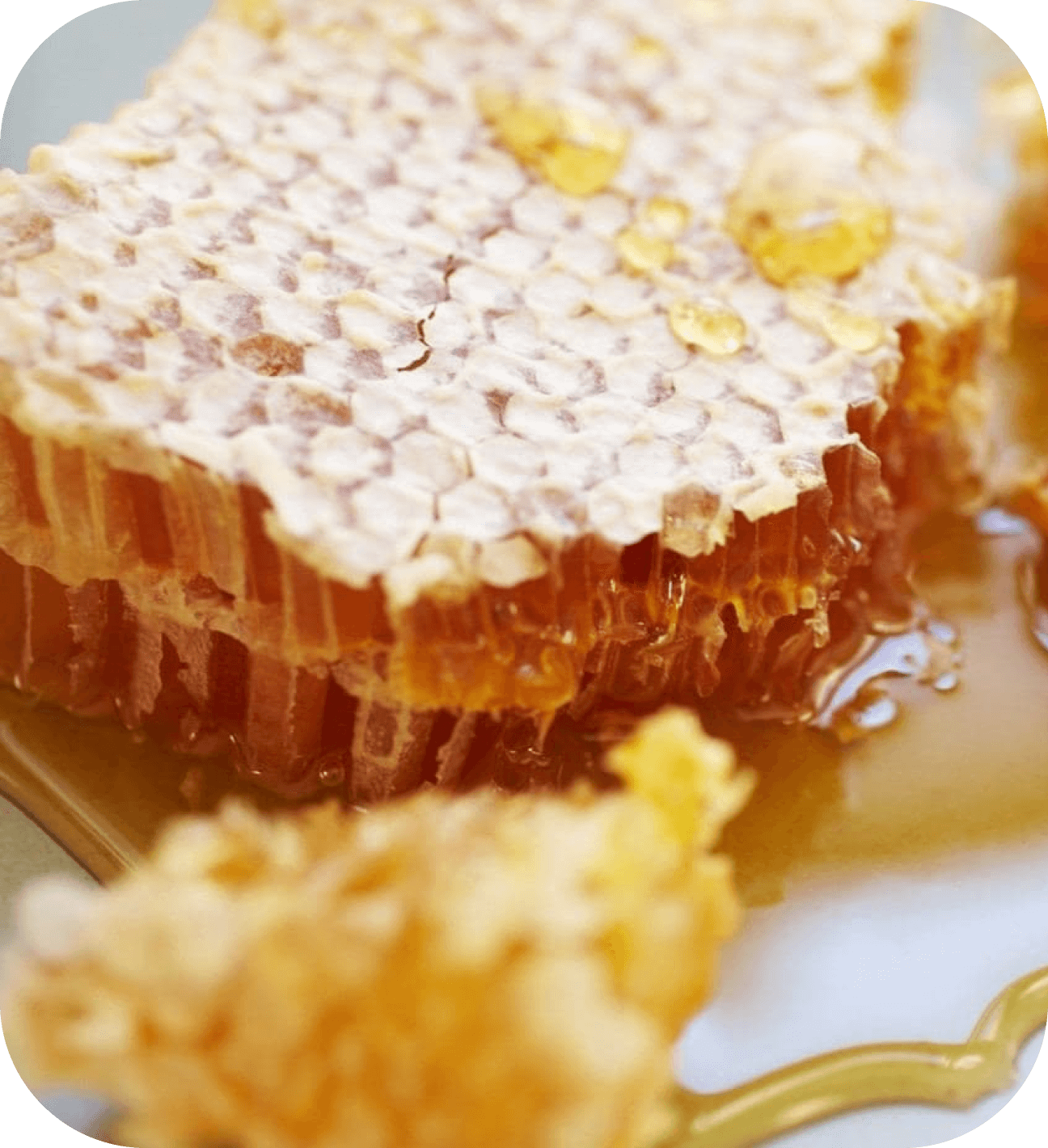 мед в сотах