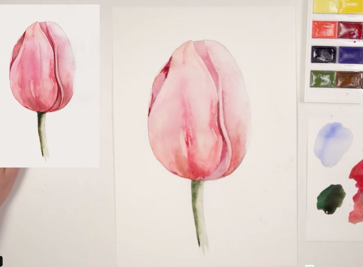 how to draw a tulip with watercolor