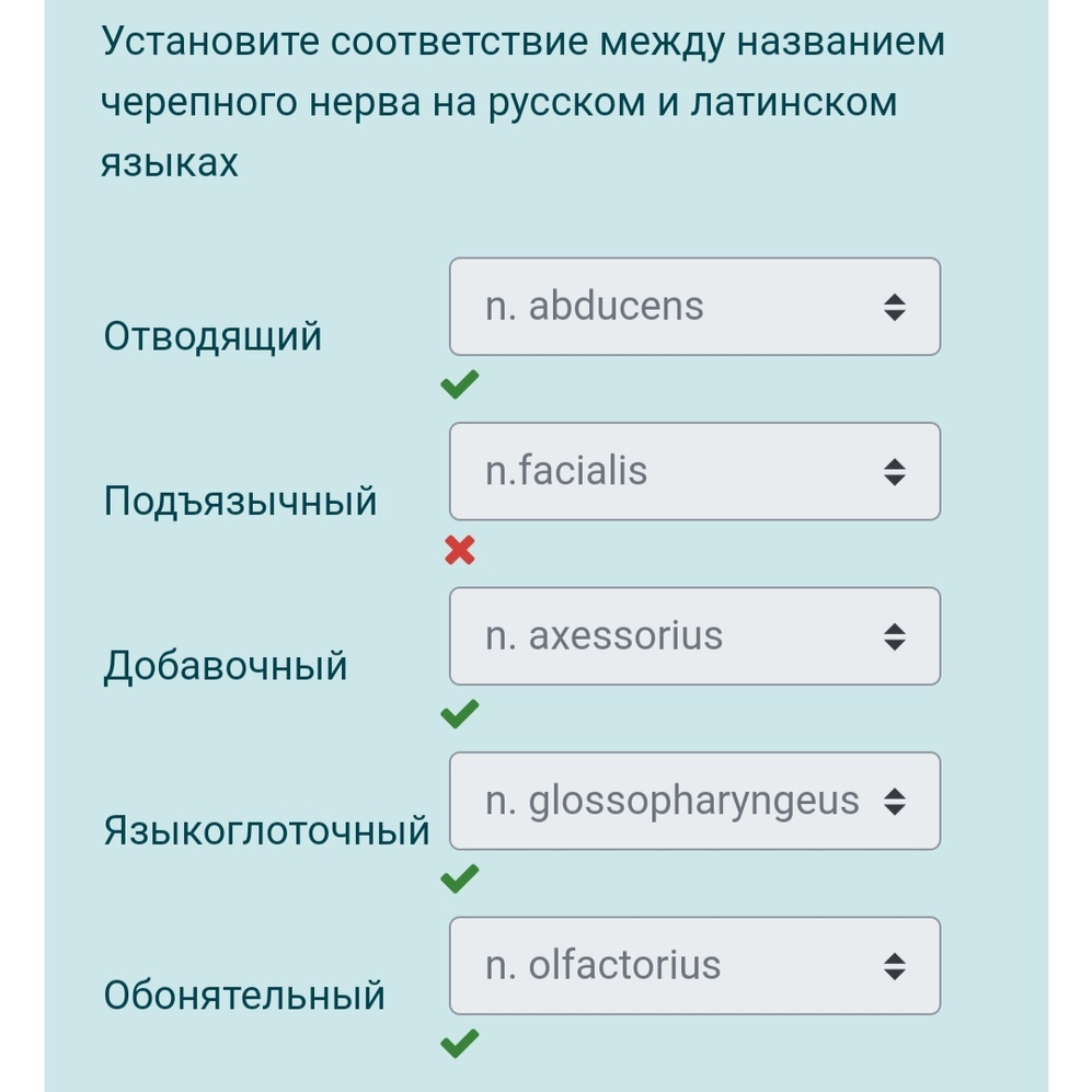 Я – профессионал» лечебное дело и педиатрия