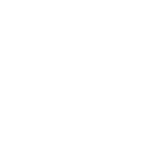 website icon