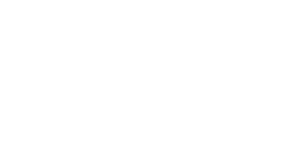 Мудрое видение