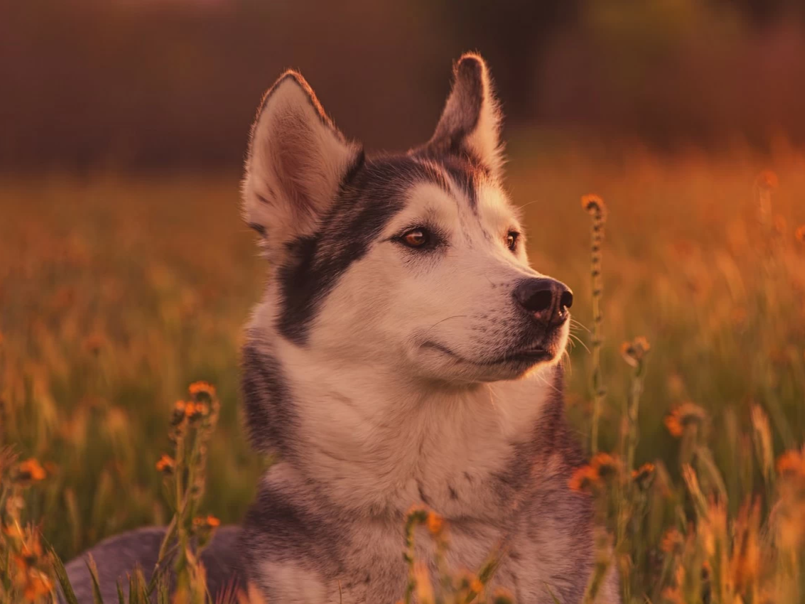 фото нанесения макияжа на лицо девушки 