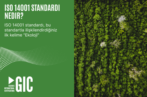 ISO 14001 standardı nedir?