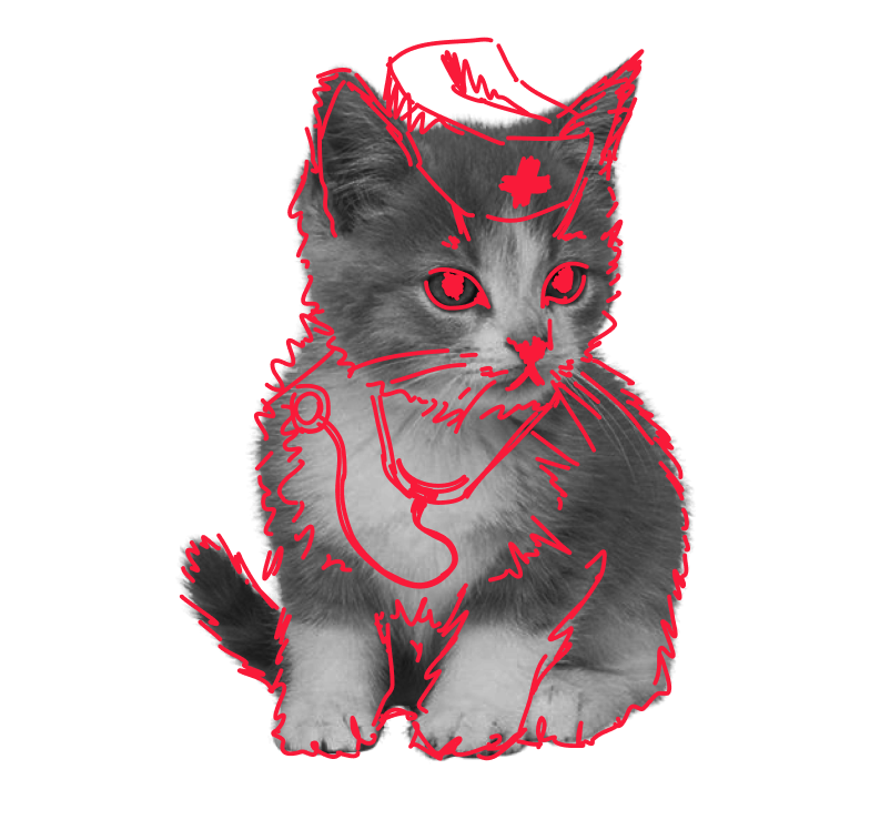 РЕПЕТИТОР НА 100 БАЛЛОВ