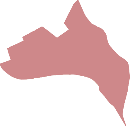 Новая жизнь Започаинья