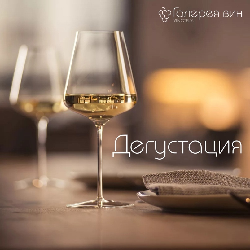 Дегустация белых тихих и игристых вин в винотеке «Галерея вин» в Казани