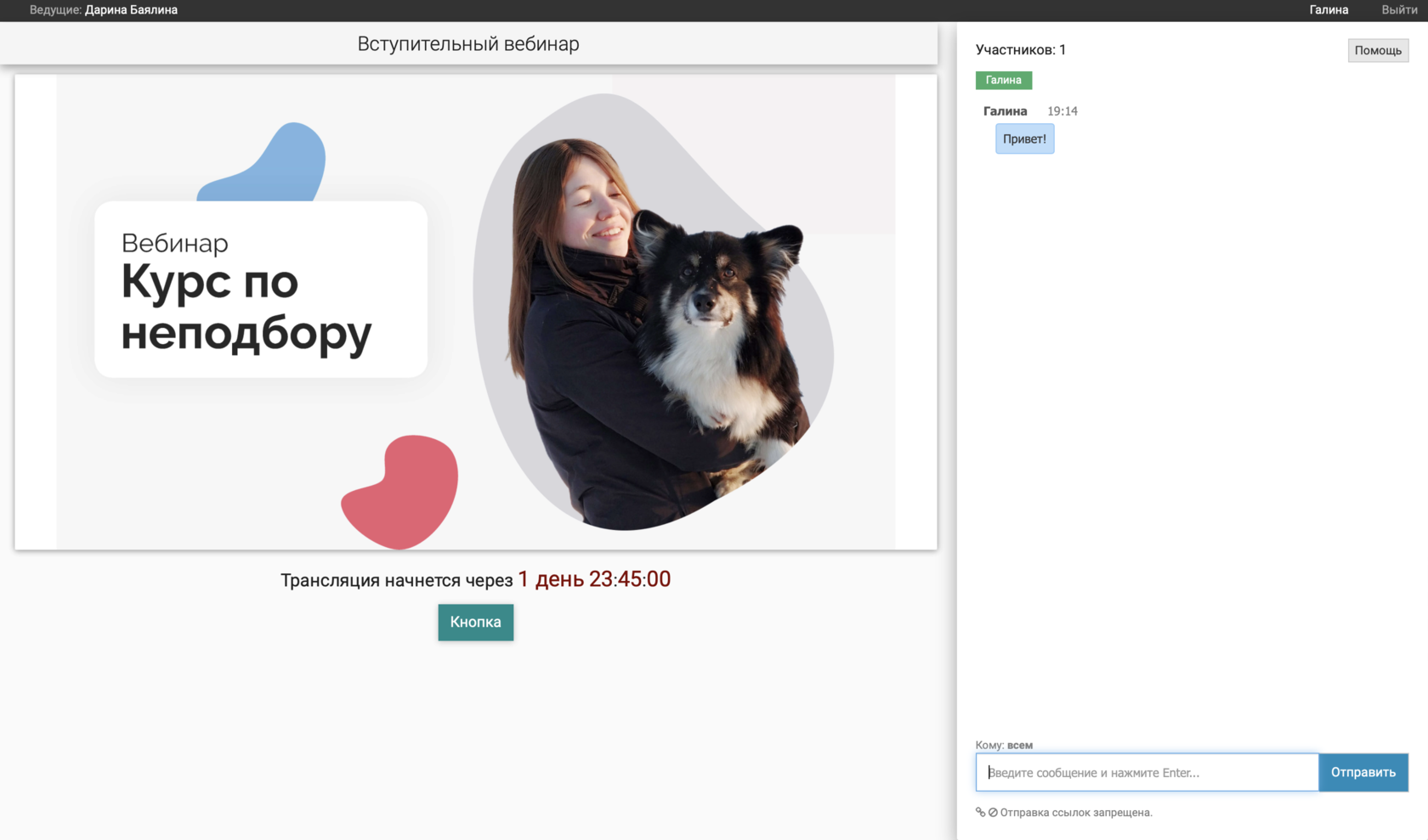 Вид стандартной вебинарной комнаты бизон