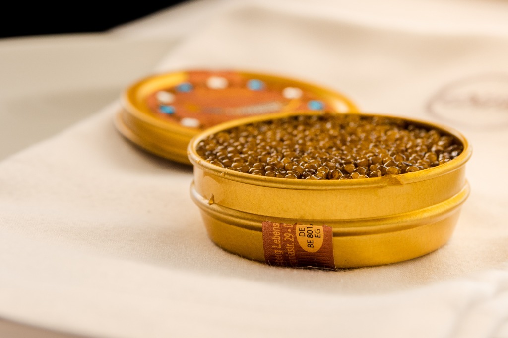 SV Caviar
