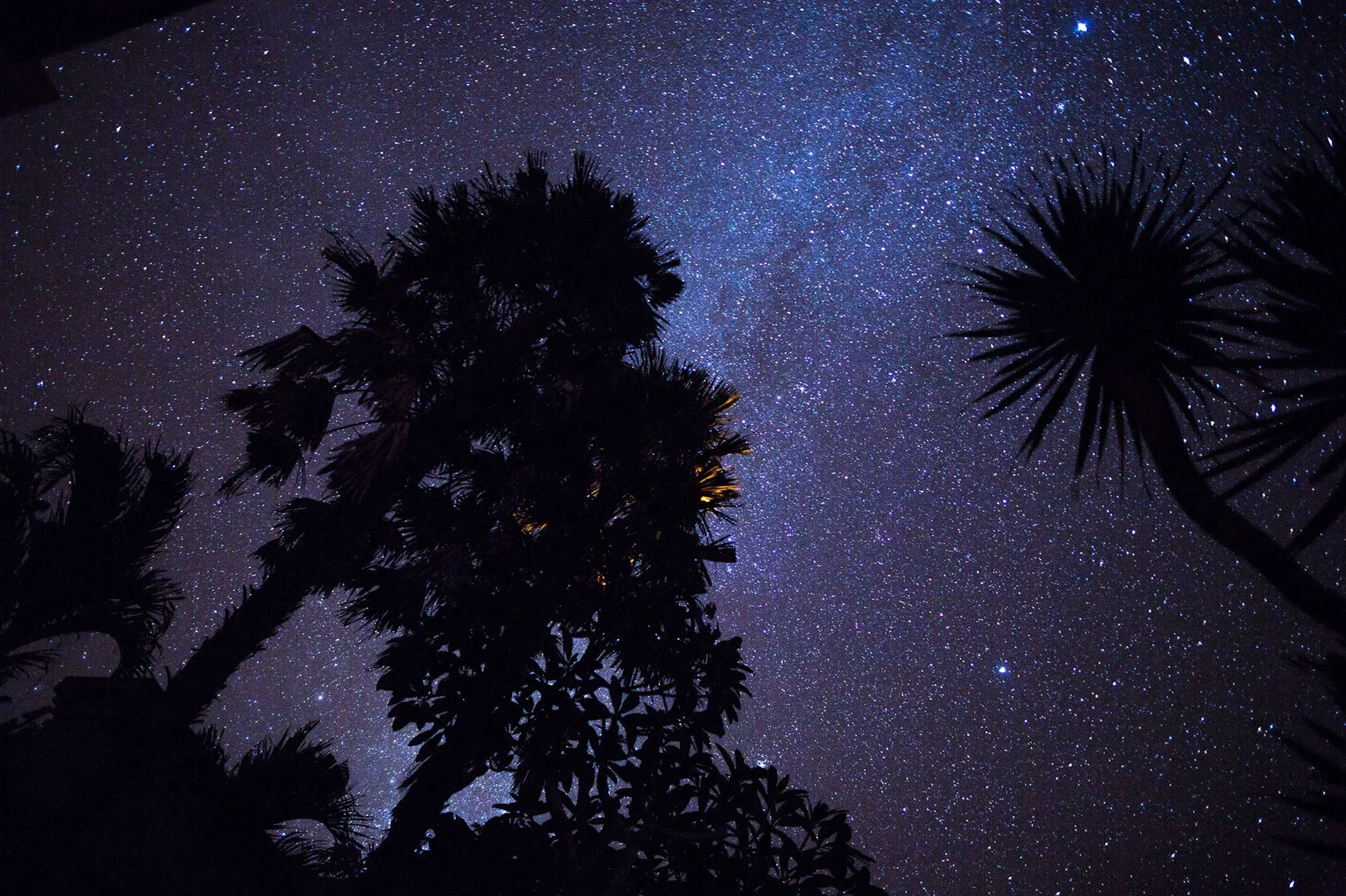 A breathtaking view of the Milky Way and starry sky above palm trees, visible only during the total darkness of the Nyepi Day of Silence.