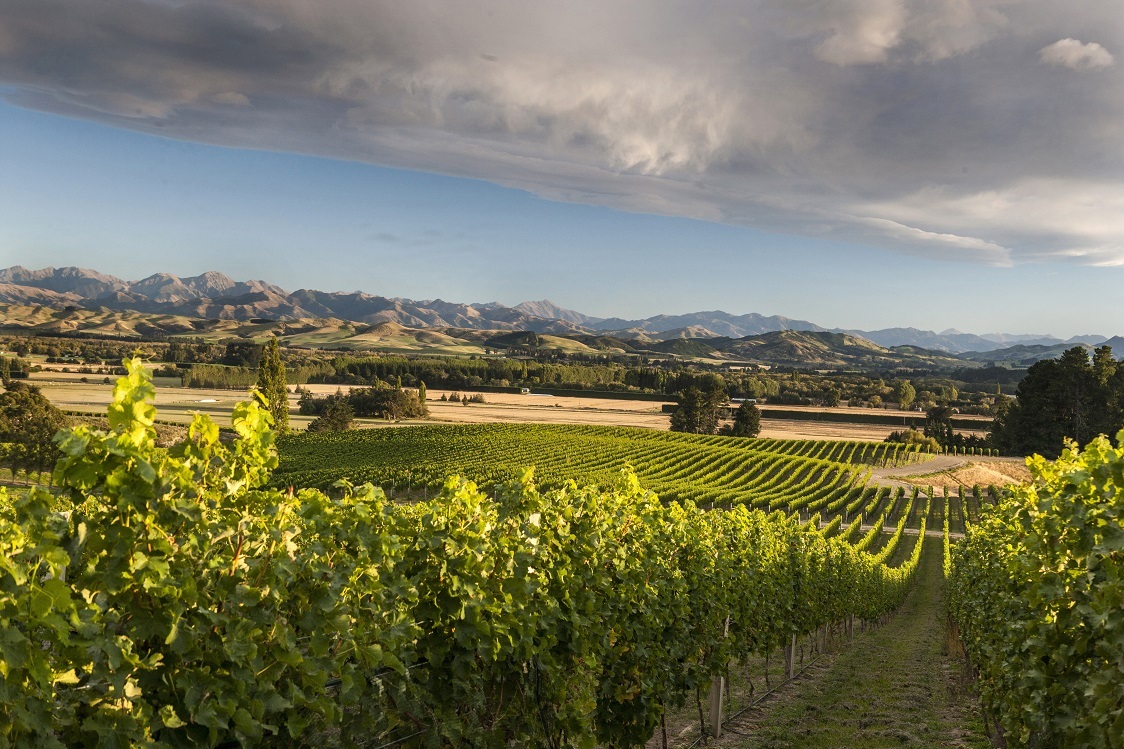 Gimblett Gravels Vineyards