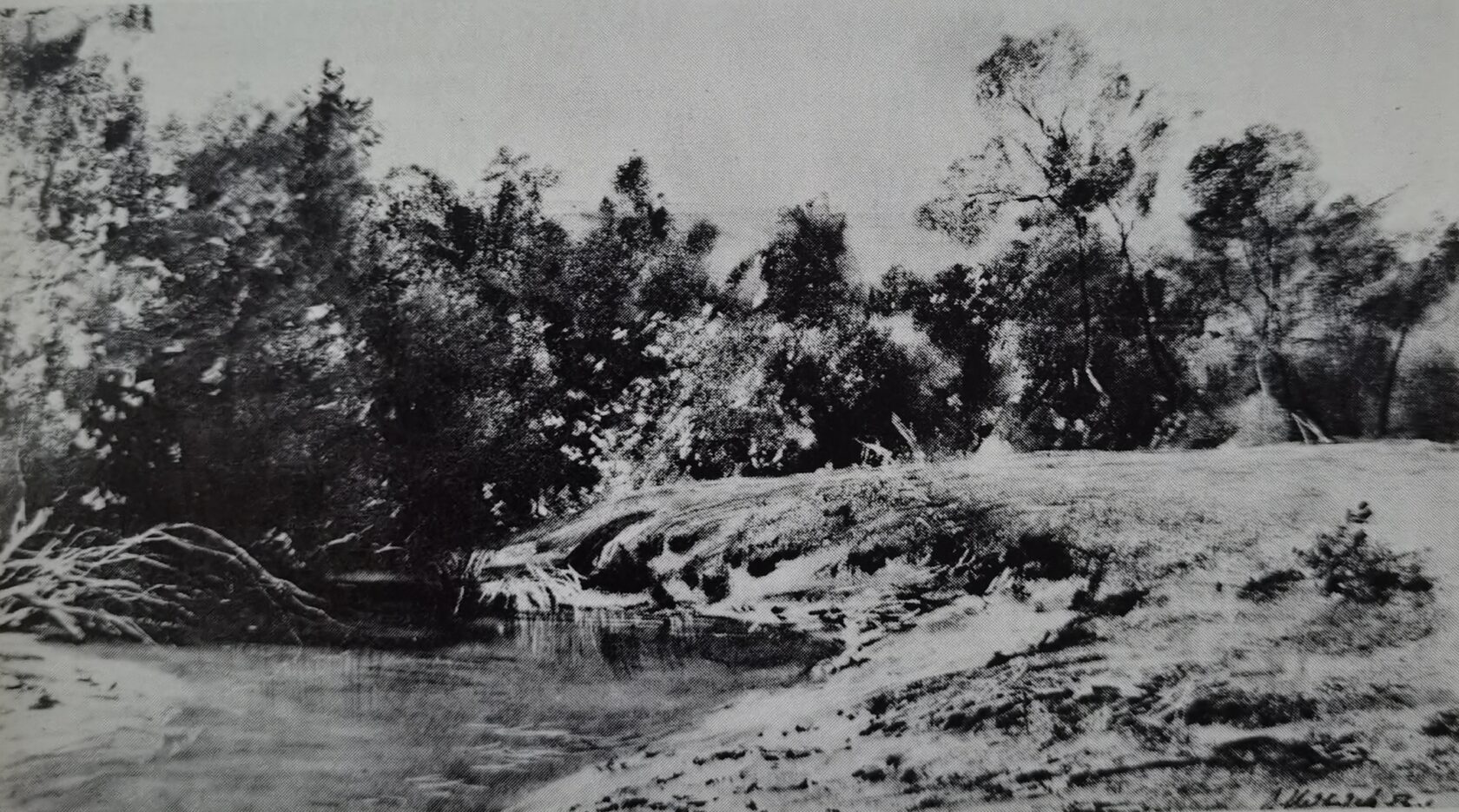 Берег реки Радомки, 1956 г.