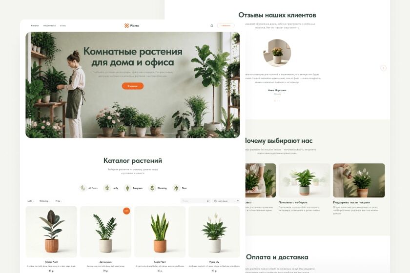Магазин комнатных растений