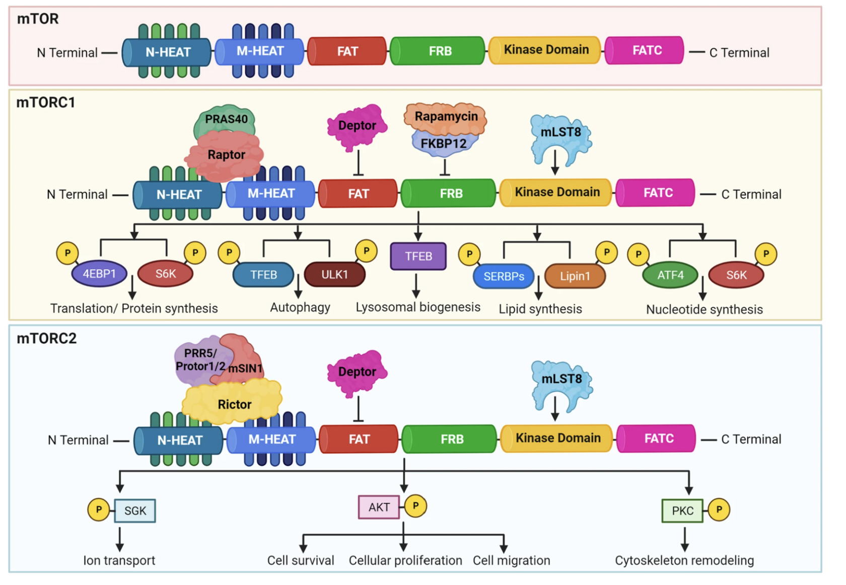 Ein Bild, das Text, Screenshot enthält.
KI-generierte Inhalte können fehlerhaft sein.