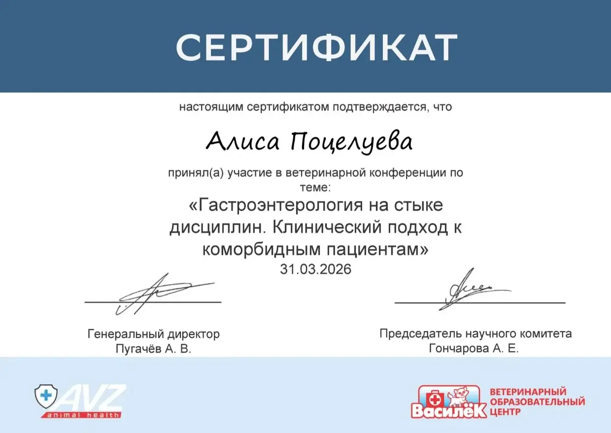 Сертификат по гастроэнтерологии Поцелуева А.А.